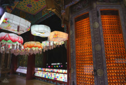 South_Korea (38/70)